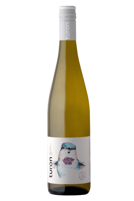 2023 ピノ・グリ/ 2023 Pinot Gris
