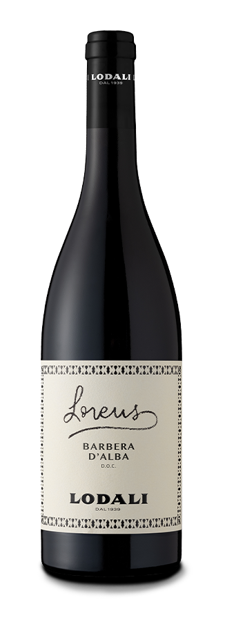 2020 バルベーラ ダルバ DOC ロレンス / 2020 Barbera d’Alba DOC Lorens