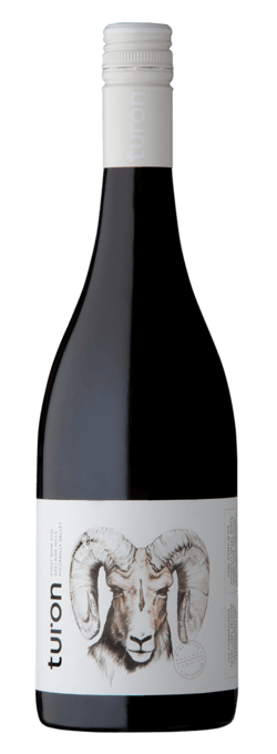2023 ピノ・ノワール/2023 Pinot Noir