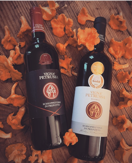 Vigna Petrussa（ヴィニャ・ペトルッサ）